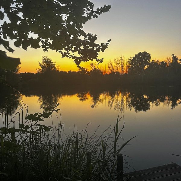 Ein See spiegelt den farbenfrohen Sonnenuntergang; Bäume und Gräser umrahmen das ruhige Gewässer und ein Steg führt ins Wasser.
